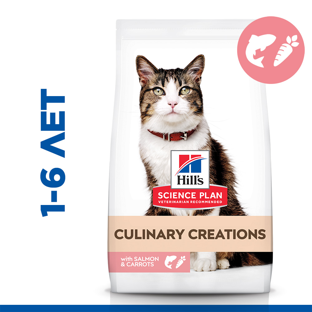 Hill's Science Plan Culinary Creations Feline Turkey & Carrot