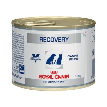 Royal Canin Wet Dog Recovery