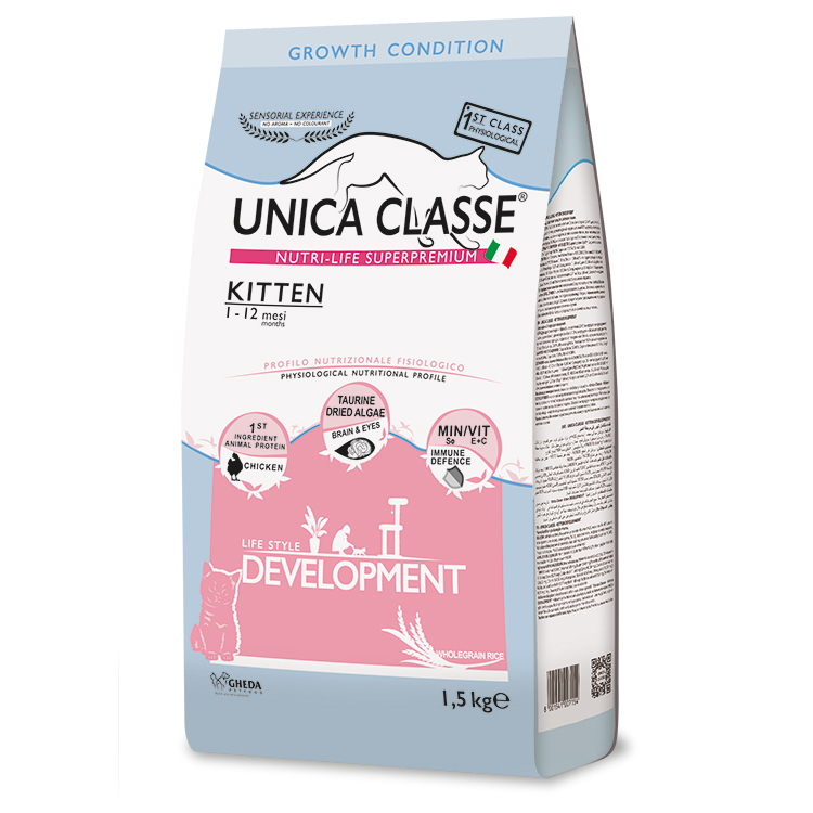 Unica Classe Kitten Development